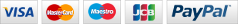 card logos new paypal 24 v2